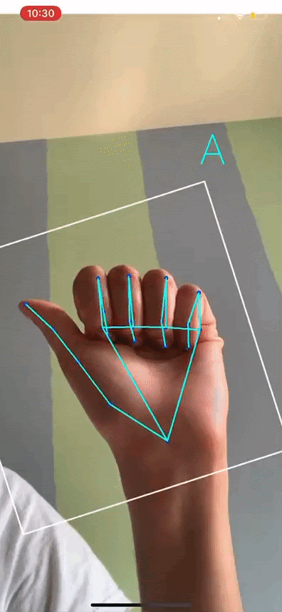 Real-Time ASL Translation using Google’s&nbsp;BlazePalm